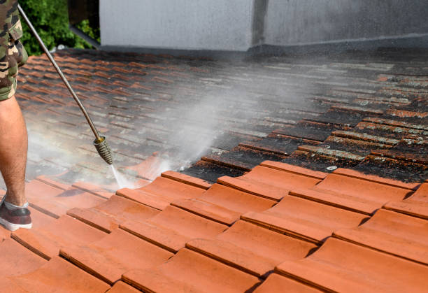 Best Fence Pressure Washing  in Herrin, IL