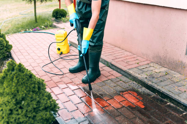 Best Commercial Building Pressure Washing  in Herrin, IL